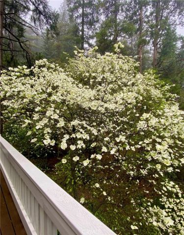 841 Cottage Grove Road, Lake Arrowhead, CA 92352