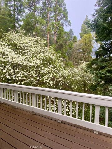 841 Cottage Grove Road, Lake Arrowhead, CA 92352