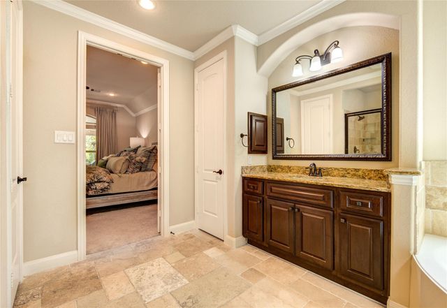13406 Ambler Springs Drive, Tomball, TX 77377