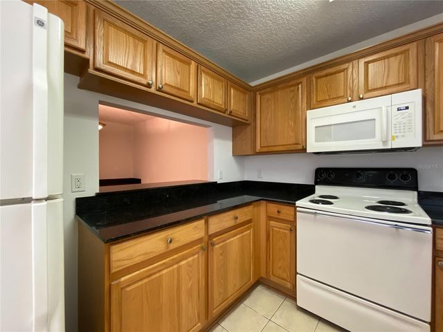 253 CASTLEKEEPER PLACE, Valrico, FL 33594