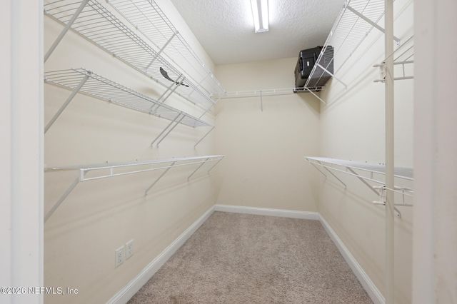 209 PEREGRINE Court, Jacksonville, FL 32225