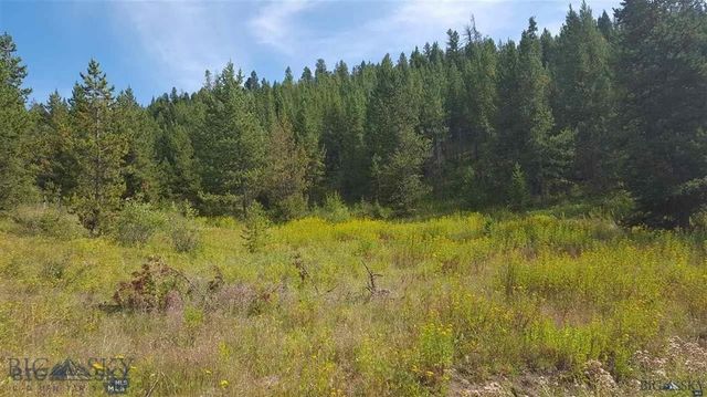Tract 11 Mountain Moose Road, Bozeman, MT 59715