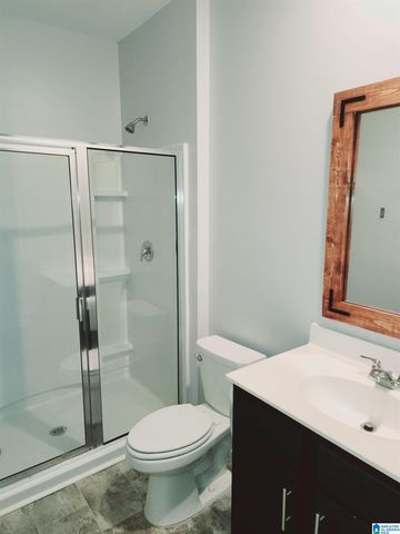 216 CHELSEA PARK ROAD, Chelsea, AL 35043