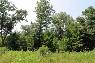 Lot19 Timber Trail, Spring Green, WI 53588