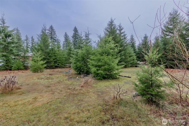 105 Jack Fir Court E, Packwood, WA 98361