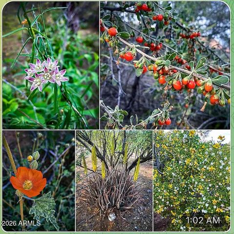 1342 S Datura Drive, Queen Valley, AZ 85118