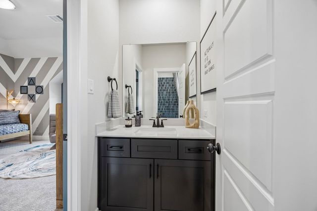 3608 Indian Cherry Place, Heartland, TX 75114