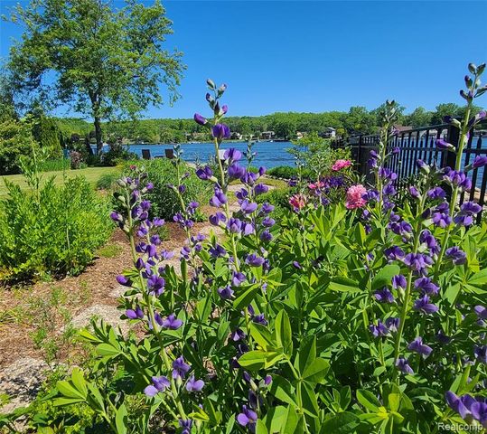 9568 Buckingham Street, White Lake, MI 48386
