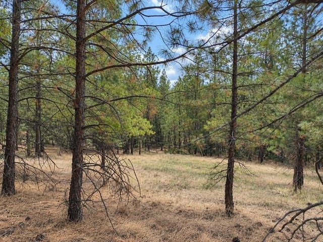 NKA Ponderosa Way, Kettle Falls, WA 99141 property photo