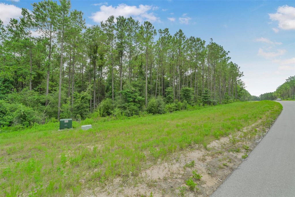 15832 Ridge Oak Road, Willis, TX 77378