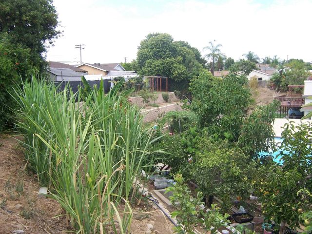 7428 Forton Way, San Diego, CA 92111