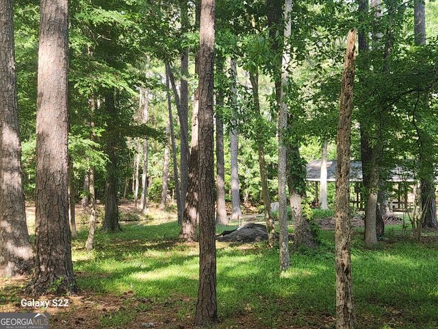 117 N Valhalla Lane, Cordele, GA 31015