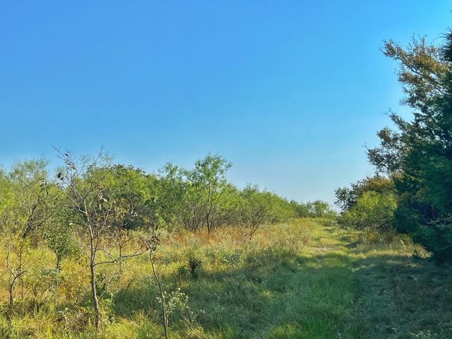 5403 Dry Creek, Calvert, TX 77837
