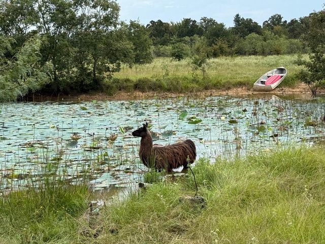 5403 Dry Creek, Calvert, TX 77837