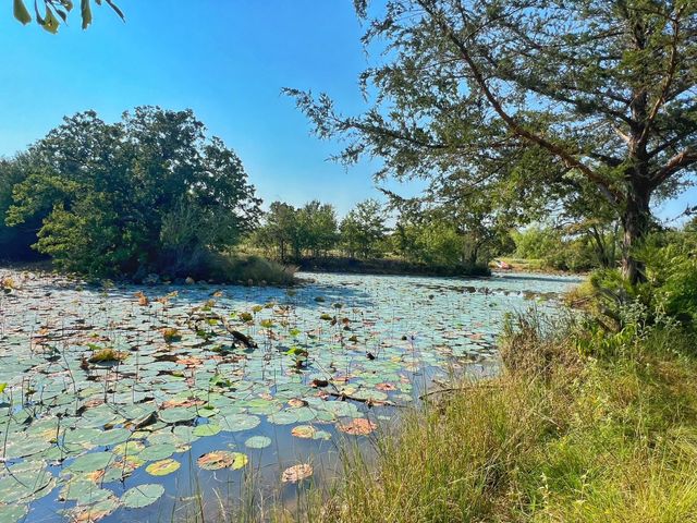 5403 Dry Creek, Calvert, TX 77837