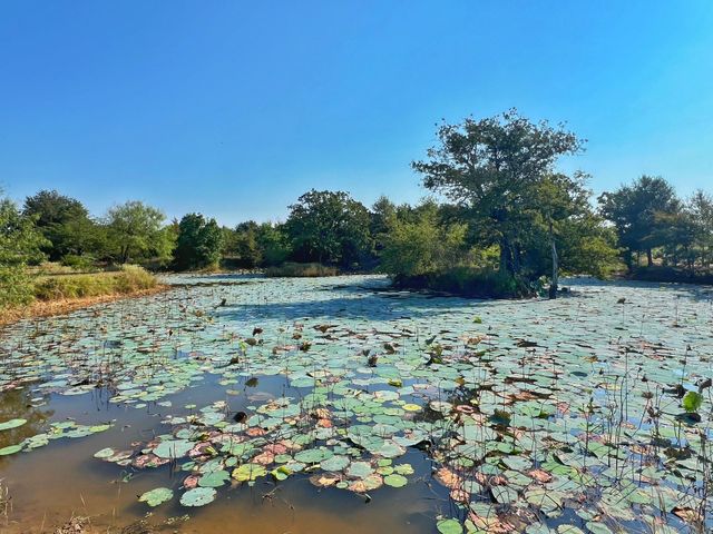 5403 Dry Creek, Calvert, TX 77837