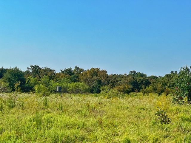 5403 Dry Creek, Calvert, TX 77837