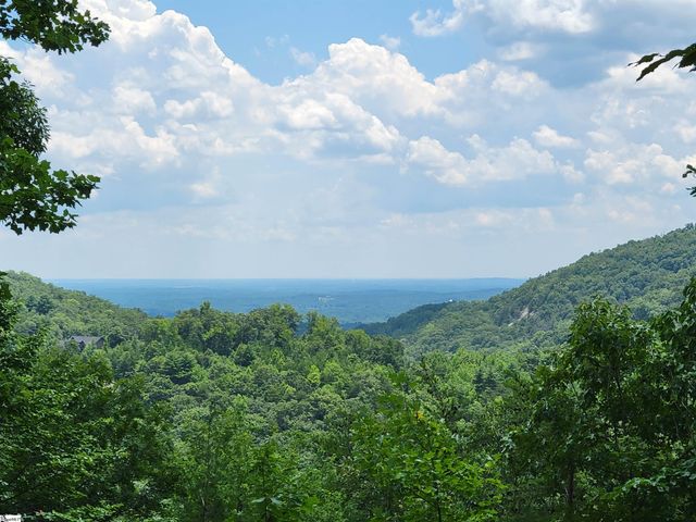 214 Craggy Rock Lane, Landrum, SC 29356