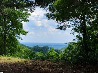 214 Craggy Rock Lane, Landrum, SC 29356