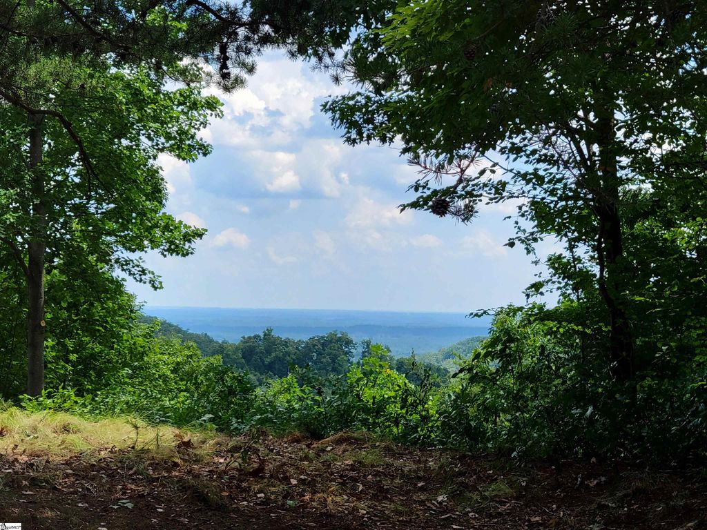 214 Craggy Rock Lane, Landrum, SC 29356