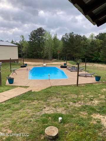 767 Mt Olive Road, Byhalia, MS 38611