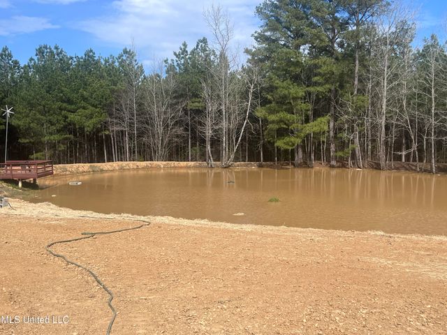 767 Mt Olive Road, Byhalia, MS 38611