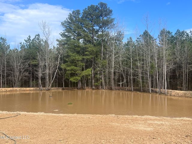 767 Mt Olive Road, Byhalia, MS 38611