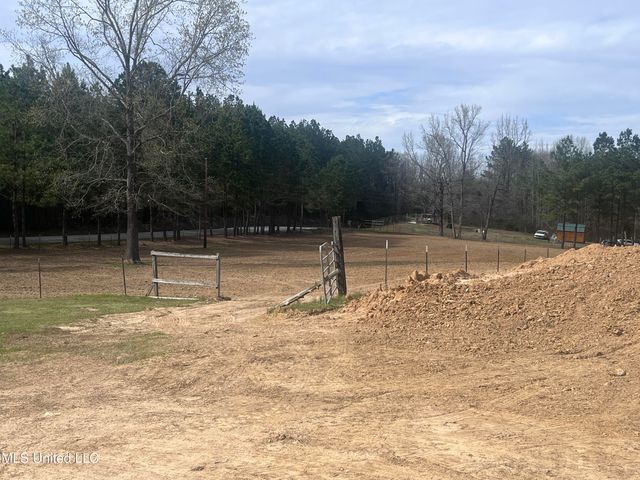 767 Mt Olive Road, Byhalia, MS 38611