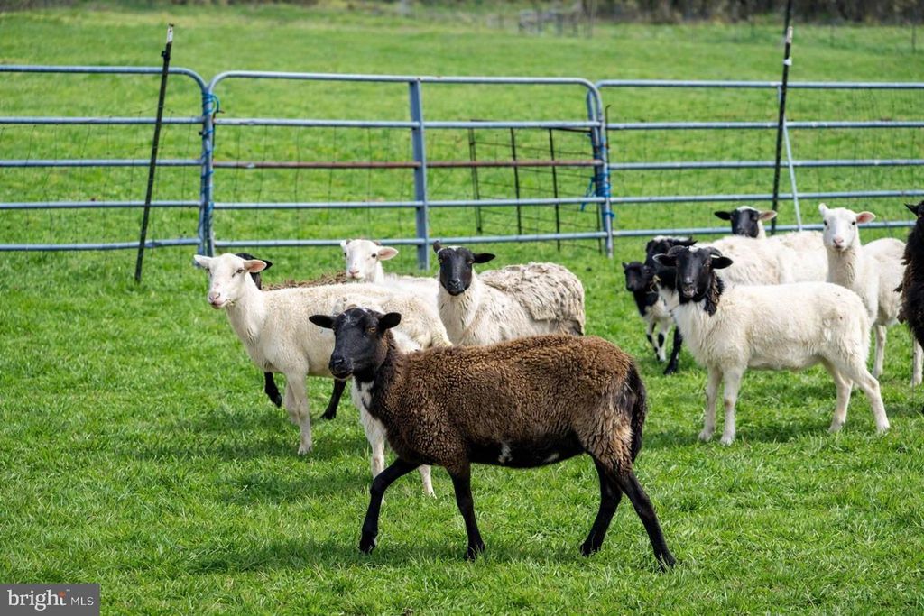 Image 24 of property listing at 15314 PRICEVILLE RD, Sparks Glencoe, MD 21152