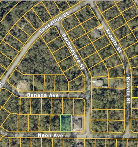 NEON AVENUE, North Port, FL 34291