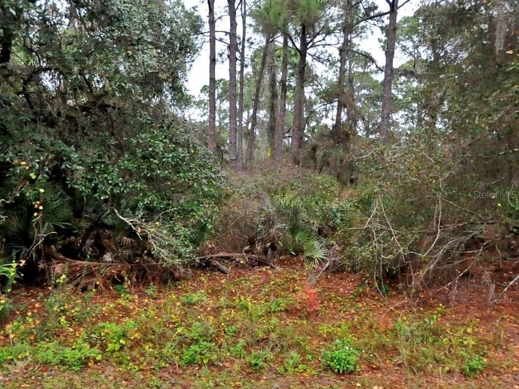 NEON AVENUE, North Port, FL 34291