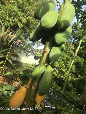 450 Hazel Street, Sebastian, FL 32958