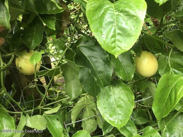 450 Hazel Street, Sebastian, FL 32958