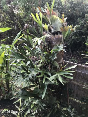 450 Hazel Street, Sebastian, FL 32958