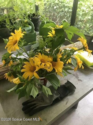 450 Hazel Street, Sebastian, FL 32958