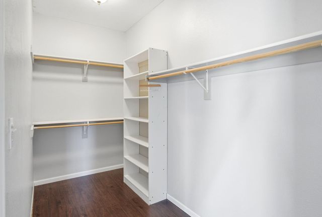 1806 GYPSY MOTH DR, Columbia, MO 65202