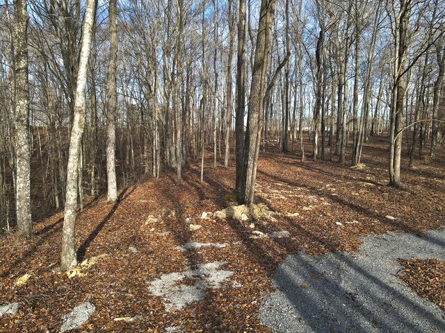 31 Piper Road, Russell Springs, KY 42642