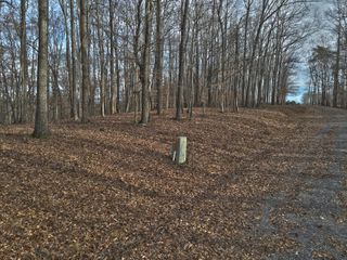 31 Piper Road, Russell Springs, KY 42642