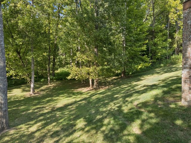 428 Acacia Grove Ln, Lebanon, TN 37087