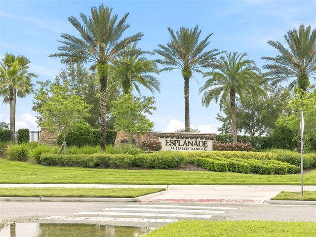 3118 FORSYTHIA DRIVE, Odessa, FL 33556