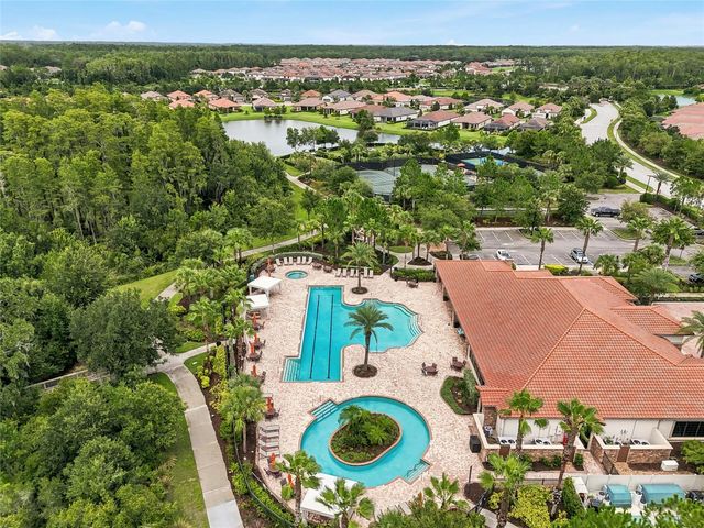 3118 FORSYTHIA DRIVE, Odessa, FL 33556