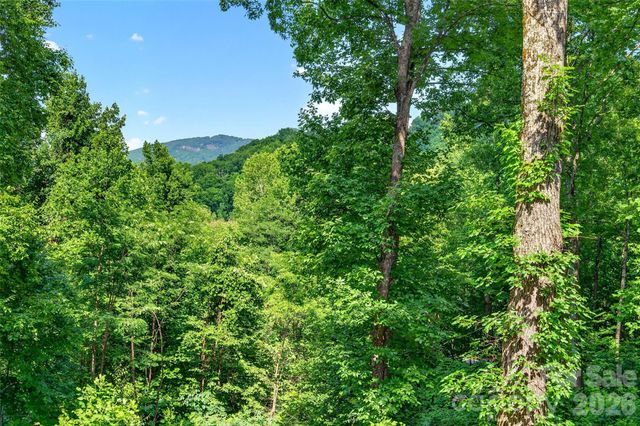 771 Sally Gap Road, Old Fort, NC 28762