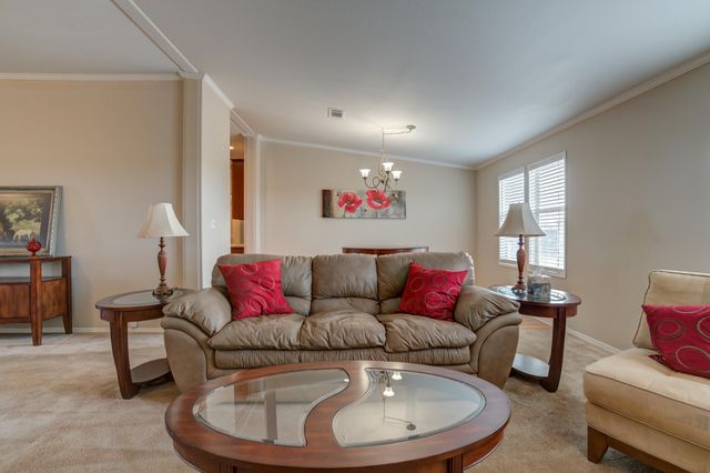 17006 County Rd 1350, Wolfforth, TX 79382