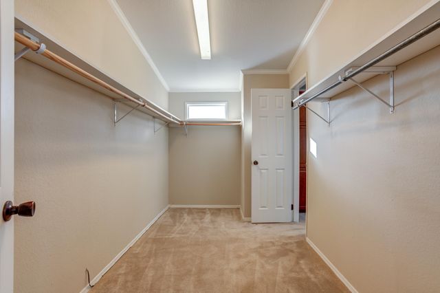 17006 County Rd 1350, Wolfforth, TX 79382