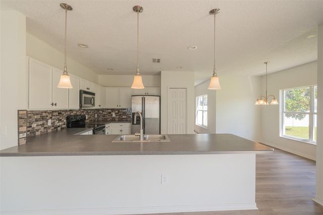 4401 EVERGREEN FOREST LOOP, Kissimmee, FL 34758