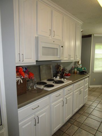 8292 RANKIN BRANCH RD, Millington, TN 38053