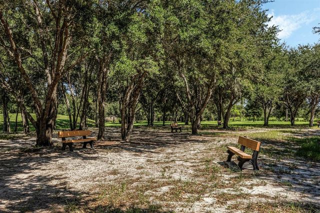 9356 ST THERESE STREET, Groveland, FL 34736