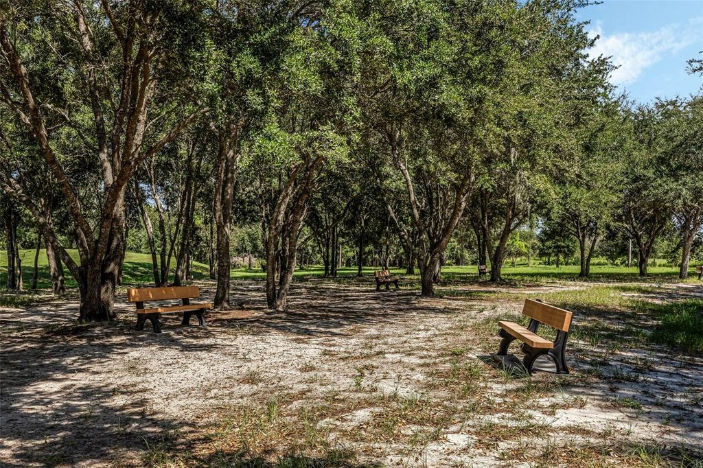 Image 44 of property listing at 9356 ST THERESE STREET, Groveland, FL 34736