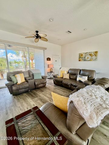 4207 Carlos Court, Hernando Beach, FL 34607