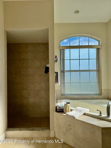 4207 Carlos Court, Hernando Beach, FL 34607